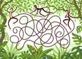 Three monkeys with long tails hang from vines in the jungle. Guess which monkey grabbed a banana with its tail?